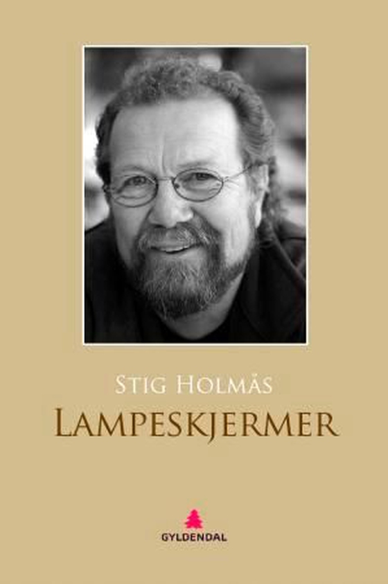 Lampeskjermer - roman (ebok) av Stig Holmås