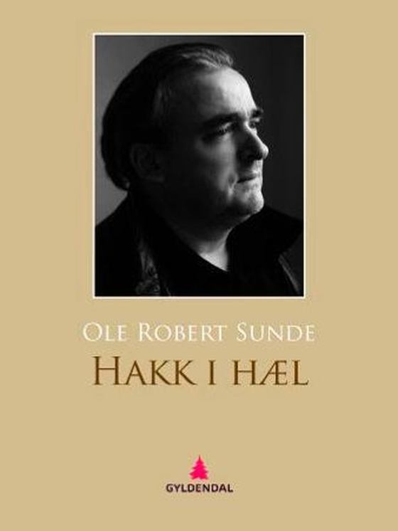 Hakk i hæl