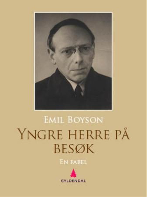 Yngre herre på besøk