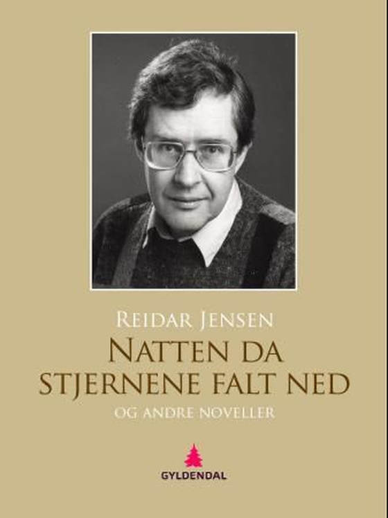 Natten da stjernene falt ned og andre noveller