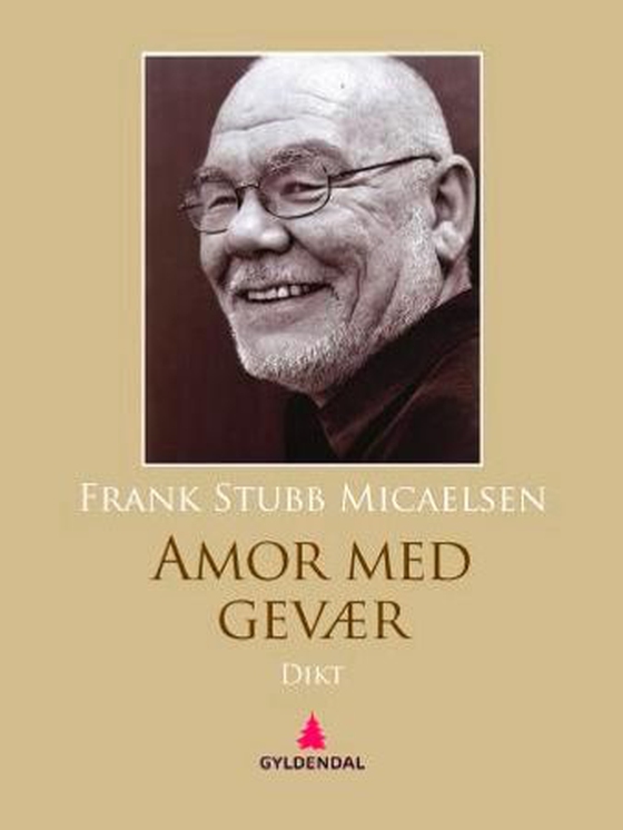 Amor med gevær