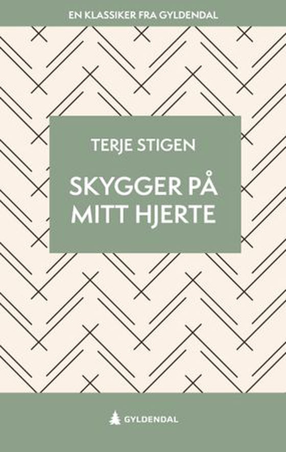 Skygger på mitt hjerte - roman (ebok) av Terje Stigen