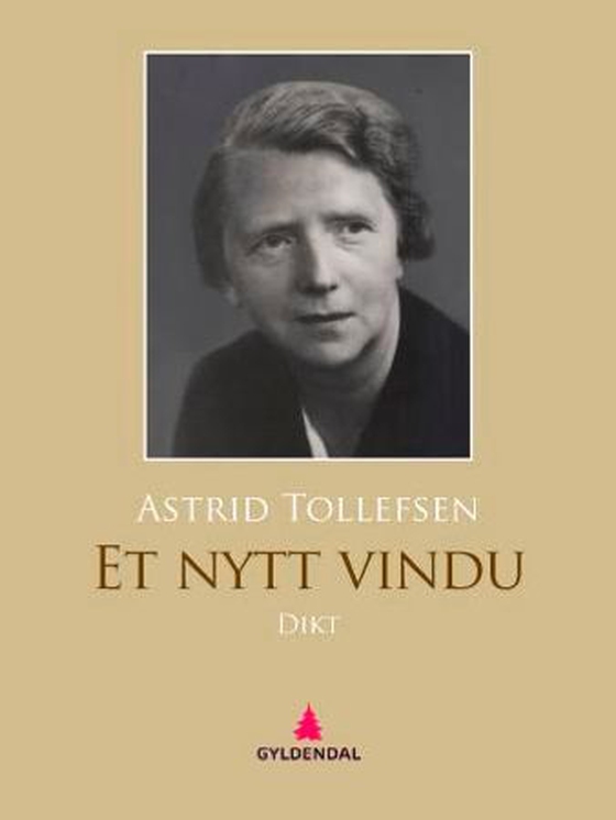 Et nytt vindu