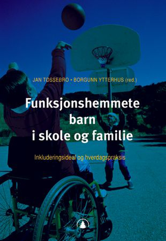 Funksjonshemmete barn i skole og familie - inkluderingsideal og hverdagspraksis (ebok) av -
