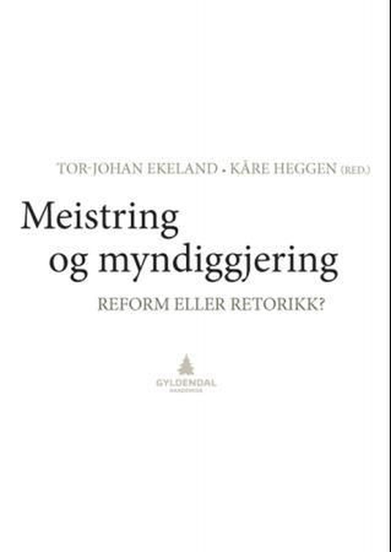 Meistring og myndiggjering