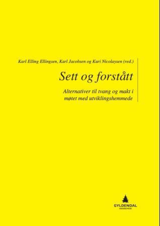 Sett og forstått - alternativer til tvang og makt i møtet med utviklingshemmede (ebok) av -