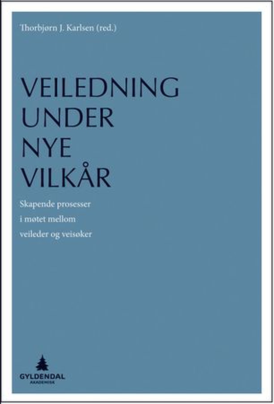 Veiledning under nye vilkår - skapende prosesser i møtet mellom veileder og veisøker (ebok) av -