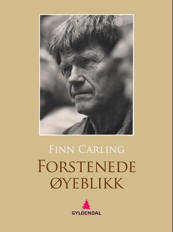 Forstenede øyeblikk