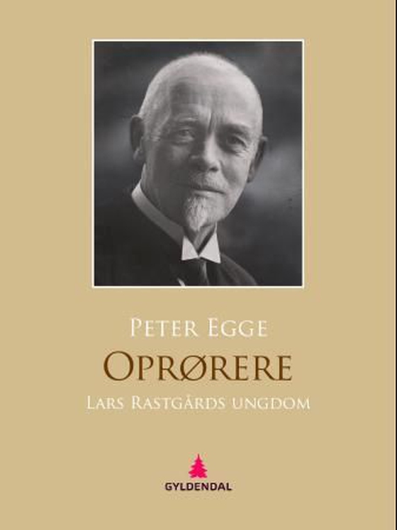 Oprørere - Lars Rastgårds ungdom : roman (ebok) av Peter Egge