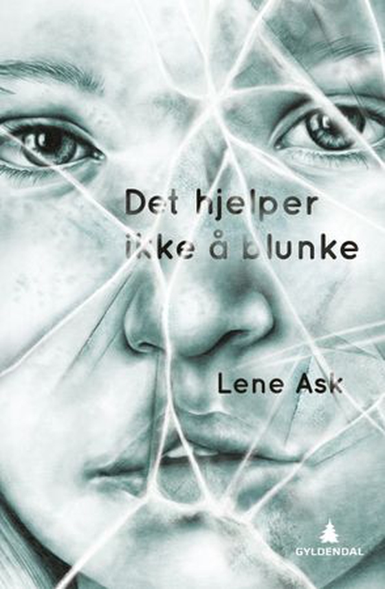 Det hjelper ikke å blunke (ebok) av Lene Ask