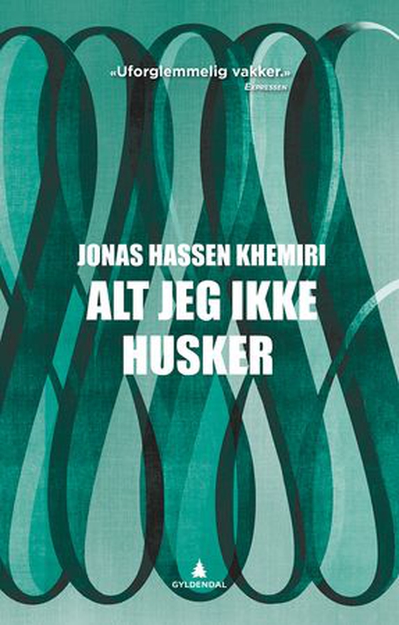 Alt jeg ikke husker (ebok) av Jonas Hassen Khemiri