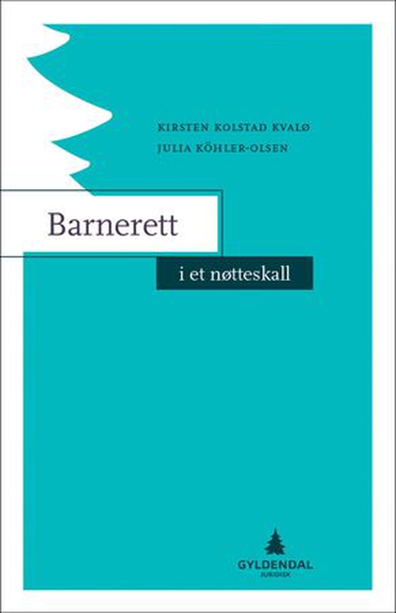 Barnerett i et nøtteskall (ebok) av Kirsten Kolstad Kvalø