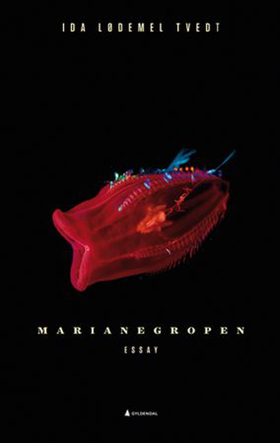 Marianegropen