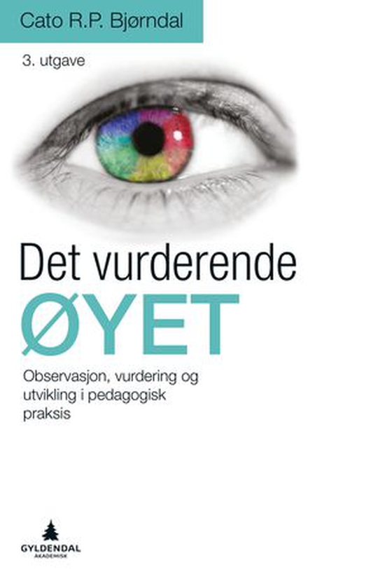 Det vurderende øyet