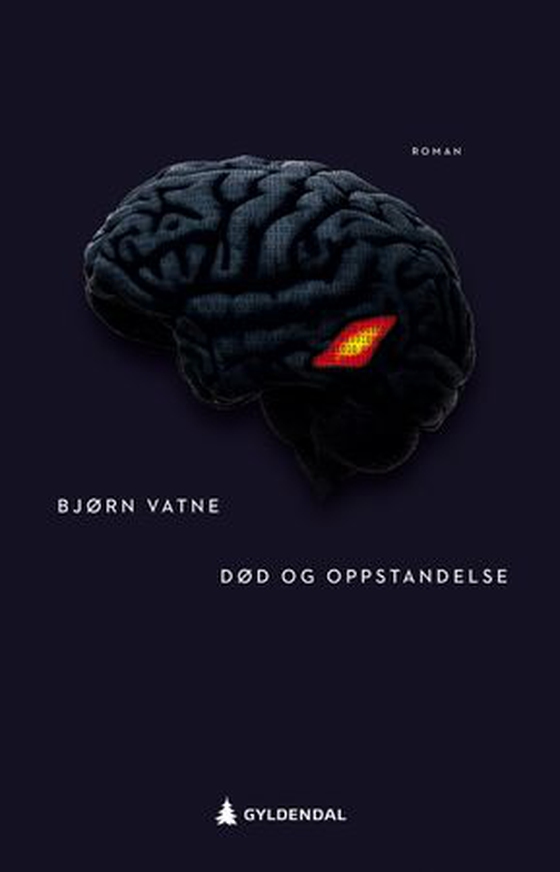 Død og oppstandelse - roman (ebok) av Bjørn Vatne