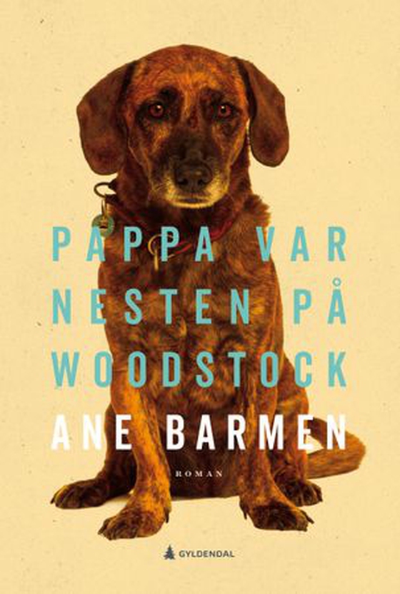Pappa var nesten på Woodstock - roman (ebok) av Ane Barmen