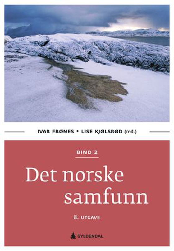 Det norske samfunn