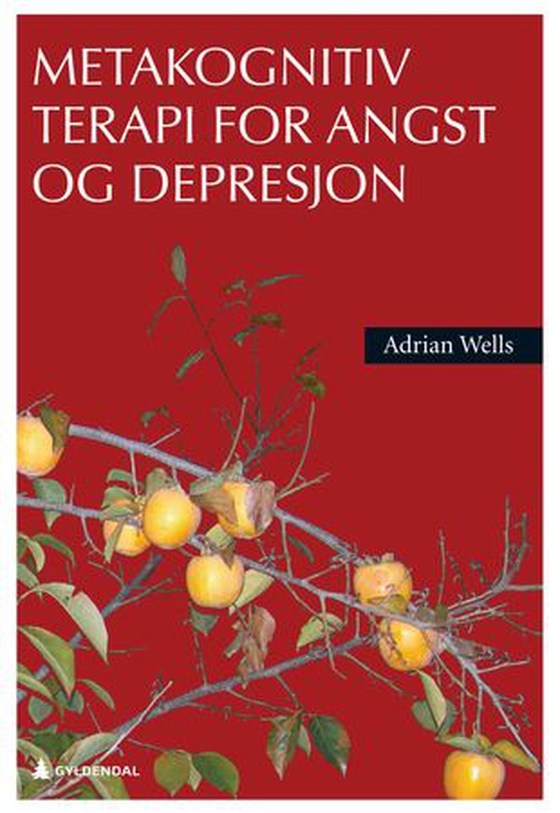 Metakognitiv terapi for angst og depresjon