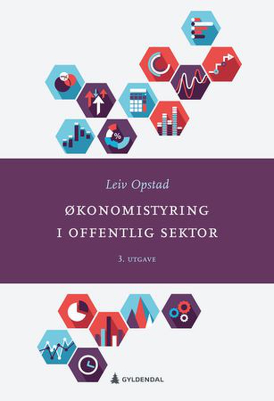 Økonomistyring i offentlig sektor