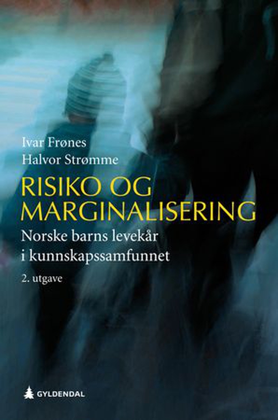 Risiko og marginalisering