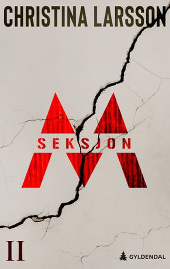 Sektion M - Del 2 (ebok) av Christina Larsson