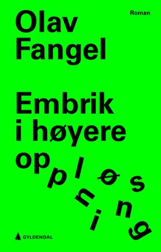 Embrik i høyere oppløsning (ebok) av Olav Fangel