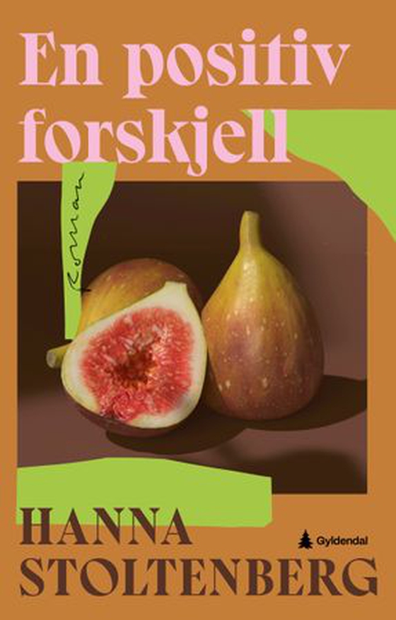 En positiv forskjell - roman (ebok) av Hanna Stoltenberg