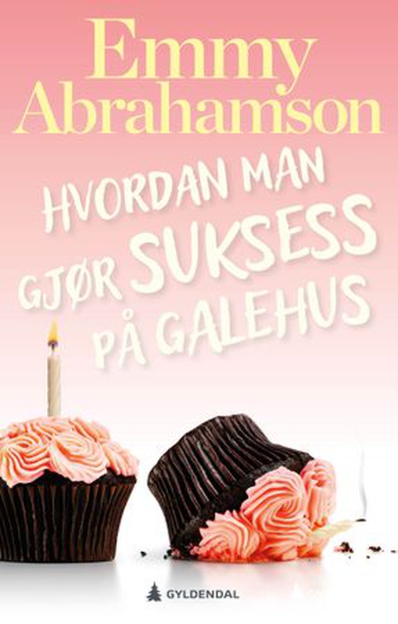 Hvordan man gjør suksess på galehus - roman (ebok) av Emmy Abrahamson