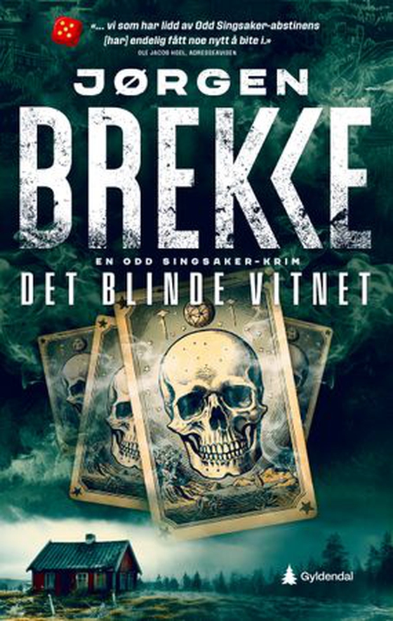 Det blinde vitnet