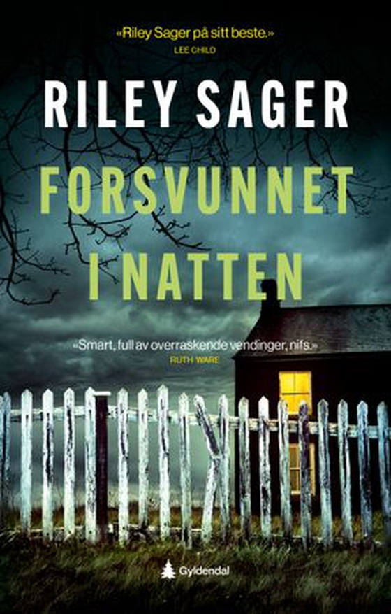 Forsvunnet i natten (ebok) av Riley Sager