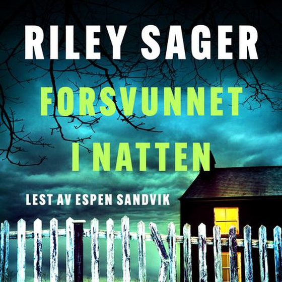 Forsvunnet i natten (lydbok) av Riley Sager