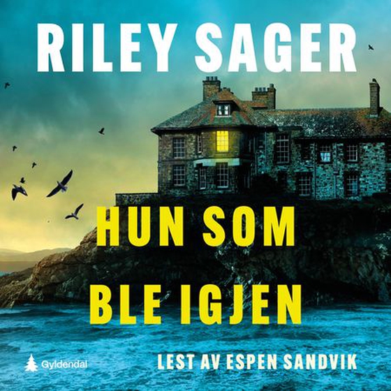Hun som ble igjen (lydbok) av Riley Sager