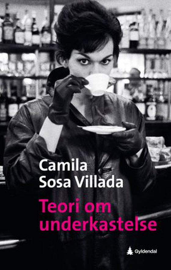 Teori om underkastelse (ebok) av Camila Sosa Villada