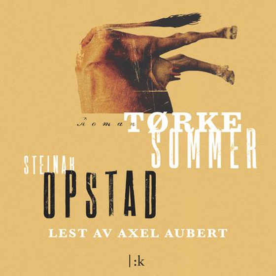 Tørkesommer (lydbok) av Steinar Opstad