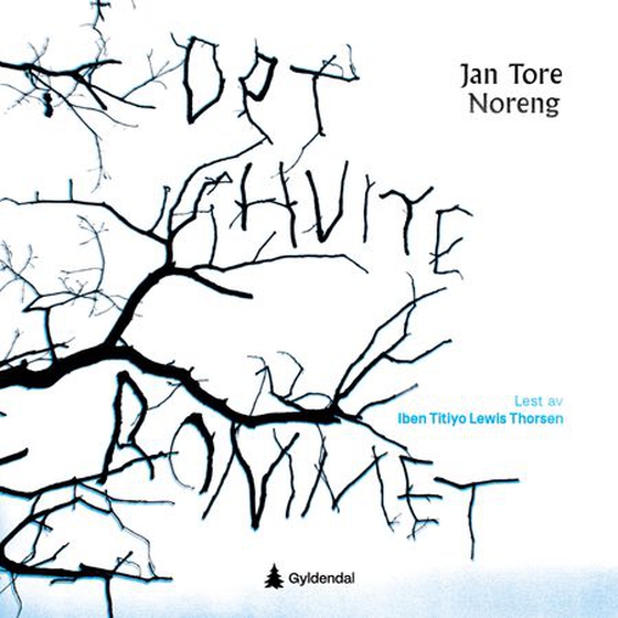 Det hvite rommet (lydbok) av Jan Tore Noreng