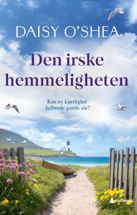 Den irske hemmeligheten