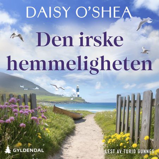 Den irske hemmeligheten