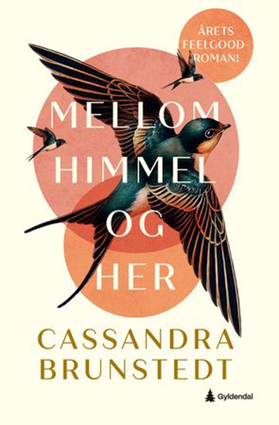 Mellom himmel og her (ebok) av Cassandra Brunstedt