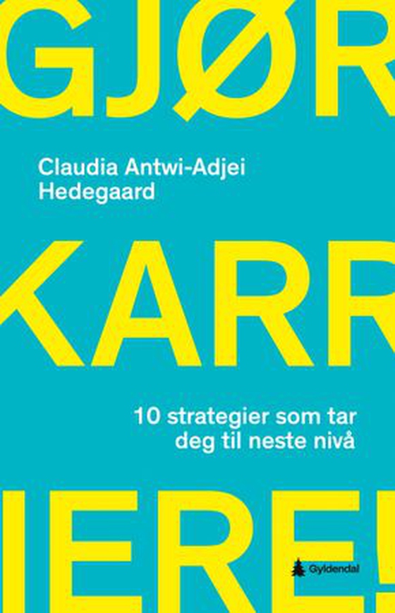 Gjør karriere!