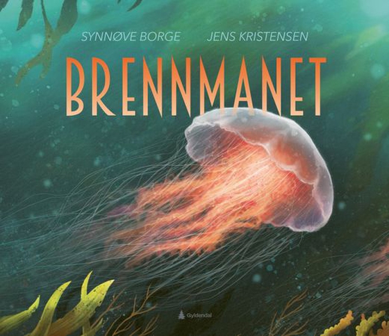 Brennmanet - cyanea capillata (ebok) av Synnøve Borge