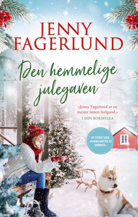 Den hemmelige julegaven