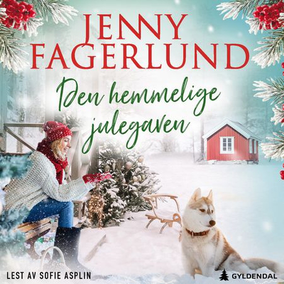 Den hemmelige julegaven