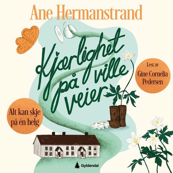 Kjærlighet på ville veier - alt kan skje på én helg (lydbok) av Ane Hermanstrand