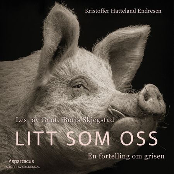 Litt som oss