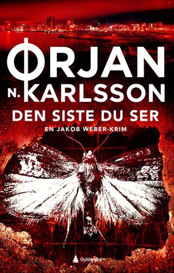 Den siste du ser