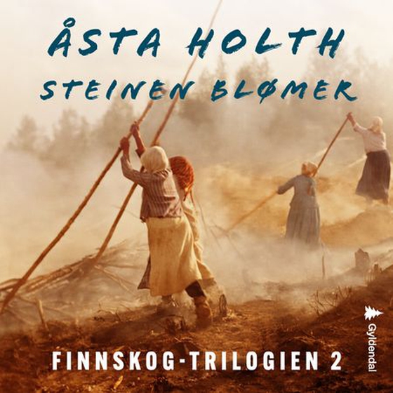 Steinen blømer