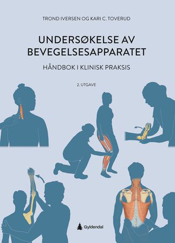 Undersøkelse av bevegelsesapparatet (ebok) av Trond Iversen