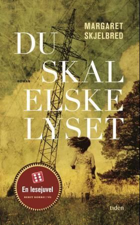 Du skal elske lyset - roman (ebok) av Margaret Skjelbred