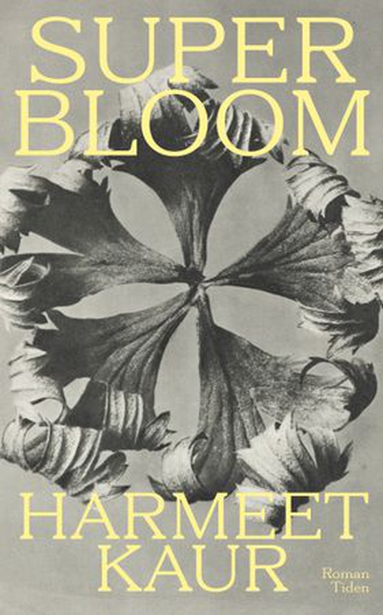 Superbloom
