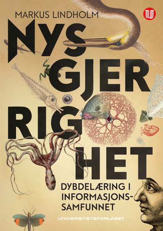 Nysgjerrighet - dybdelæring i informasjonssamfunnet (ebok) av Markus Lindholm